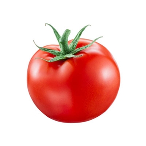 Market Intelligence of Tomato